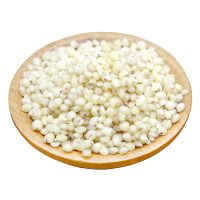 Whole natural high quality grain sorghum import