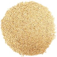 High Quality Hot Seller Ukraine malted yellow millet for sale