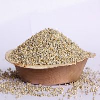 Ukraine origin Yellow Millet for Birds Food