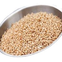 High Quality Red Sorghum From India For Sale