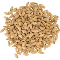 Barley grain pearl, wholesale cereals for breakfast