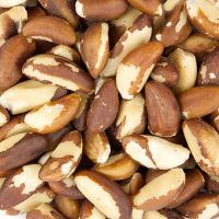 Hot Selling Factory Supplier of Organic Brazil Nuts Wholesale