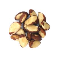 Brazil Nuts Betel Premium Quality Full Of Nutrition Natural Made
