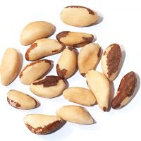 100% Pure Natural PERU High Quality Brazil Nut for export