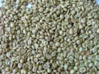 https://www.tradekey.com/product_view/Export-Coffee-Beans-Coffee-Bean-Importer-Coffee-Beans-Buyer-Buy-Coffee-Beans-Coffee-Bean-Wholesaler-Coffee-Bean-Manufacturer-Best-Coffee-Bean-Exporter-Low-Price-Coffee-Beans-Best-Quality-Coffee-Bean-Coffee-Bean-Supplier-Sell-Coffee-Be-432478.html