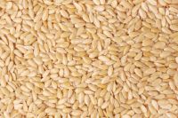 Sesame seeds White