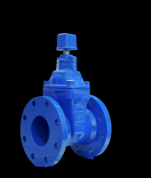 iValve NRS Resilient Seated Gate Valve