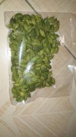 https://jp.tradekey.com/product_view/Green-Cardamom-amp-Spices-9513065.html