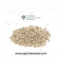 White Pepper Indonesia