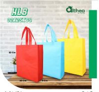 Non Woven Spunbound Bag