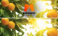 Valencia Oranges for SELL from Skala Greece