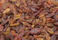 Malayar Raisins