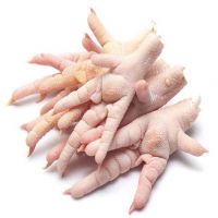 EXPORT GRADE HALAL FROZEN WHOLE CHICKEN, CHICKEN FEET, CHICKEN PAW AND ALL OTHER PARTS