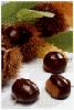 chestnuts