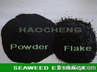 Soluble seaweed extract powder