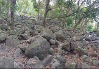 Armour rocks and boulders 