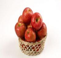 https://jp.tradekey.com/product_view/-fuji-Korean-Fresh-Apple-10211638.html