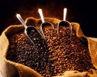 Best Seller High Quality Coffee Bean