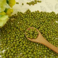 High Quality and Low-priced Mung Bean Vacuum Packaging