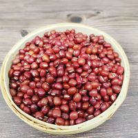 New Crop High Quality Red Adzuki Beans From China Flavorful Tea Ingredient