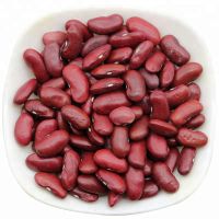 Direct Sales Red Kidney Beans Price Per Ton Cheap Red Kidney Beans