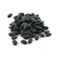 Wholesale Dried Bulk Black Kidney Beans