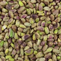 Good Quality Low Price Raw Salted Wholesale Pistachio Nuts Kernels for Sale