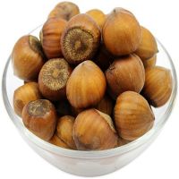 HIGH QUALITY CHEAP Natural Taste Quality Blanched Hazelnuts/ Organic Hazel Nuts HAZEL KERNEL for Sale at Best Price