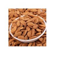 Wholesale Good Quality Almond Nuts Raw Nutrition Organic Almond Nuts for Bake Roasted Almond Nut Price