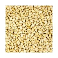 High Quality Pinenut, White Pine Nuts Kernels, Red Pine Nut for Sales