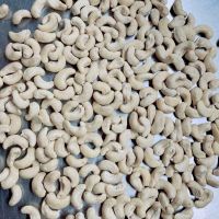 Cashew Nuts High Quality Cheap Price Raw Cashew Nuts W320