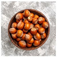 Organic Grade Raw Hazelnuts/Hazel Nuts From Brazil Blanched Dried Food Use for Sale