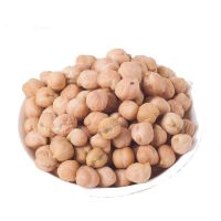 Premium Quality 12mm Golden-Brown Kabuli Chickpeas Bulk Wholesale, Export-Grade, Dried Raw Chickpeas Custom Packaging