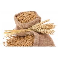 Top Competitive Price for Best Quality Wheat Bran for Poultry / High Protein Wheat Bran Meal