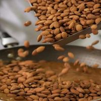 Spanish Comuna Almond (Valencia)