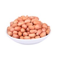 Red Peanut, blanched Peanut Kernels, Bold PeanutsBlanched Peanuts Java Peanuts/ Raw Peanuts Kernel / Raw Peanut in Shell