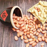 Buy High Selling Blanched Split Peanuts From Indian Seller Available at Low Price and Export Quality Packing