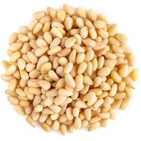 Organic Pine Nuts Roasted Dried Agriculture Product Nut Food
