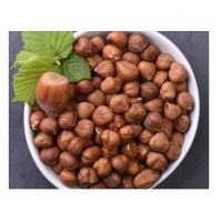 Natural Taste Quality Blanched Hazelnut/Hazel Nut at Low Price