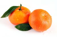 Wholesale Price for China's Sweet Mandarin Tangerine Fresh Seasonal Citrus Fruit Papagan Premium Quality Oranges