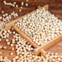 Wholesale for High Quality Black Pepper/White Pepper From Vietnam