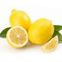 Hot Sale 100% Fresh Lemon/Green Lime 100% Natural Taste Vietnam Origin on Export Market