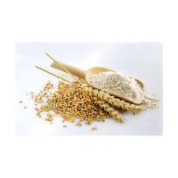 glutinous rice flour - rice flour for the best price