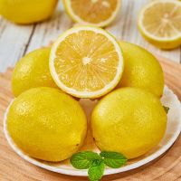 CHEAP Price HIGH QUALITY FRESH SEEDLESS 2023 / Fresh Seedless Lime / Wholesale GREEN LEMON