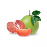 Fresh Style and Citrus Fruit Product Type Grapefruits/ Valencia Orange/ Navel Oranges/ Mandarin/