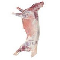 Halal Frozen Lamb Meat /Frozen Lamb/ Sheep/ Mutton Meat