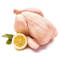 Frozen Whole Chicken Frozen Chicken for Sale Brazil Halal Whole Chicken Clean for Sale