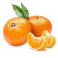 Top Quality Fresh Mandarin Origin Tangerine Wholesale Sweet Citrus Fruits New Crop OEM Private Label Fast Shipping