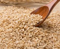 Hot Selling High Quality Hulled Groats Grain Oats