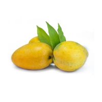 Tropical Fruit 100% Natural Fresh Yellow Mango - Sweet & Juicy